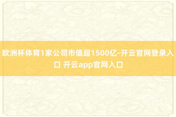欧洲杯体育1家公司市值超1500亿-开云官网登录入口 开云app官网入口