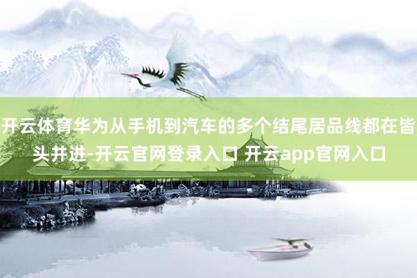 开云体育华为从手机到汽车的多个结尾居品线都在皆头并进-开云官网登录入口 开云app官网入口