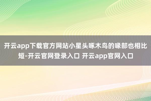 开云app下载官方网站小星头啄木鸟的喙部也相比短-开云官网登录入口 开云app官网入口