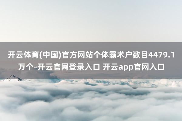 开云体育(中国)官方网站个体霸术户数目4479.1万个-开云官网登录入口 开云app官网入口