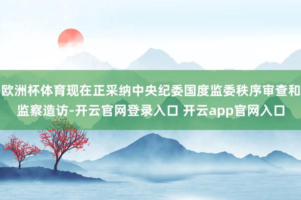 欧洲杯体育现在正采纳中央纪委国度监委秩序审查和监察造访-开云官网登录入口 开云app官网入口