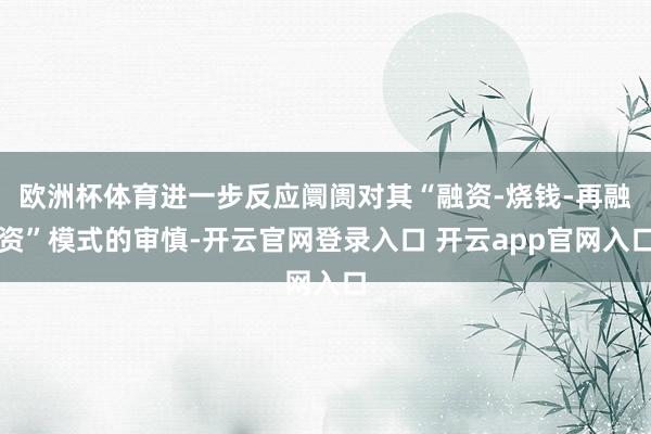 欧洲杯体育进一步反应阛阓对其“融资-烧钱-再融资”模式的审慎-开云官网登录入口 开云app官网入口